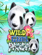 Superslot ฝาก 50 รับ 100 ล่าสุด ความสนุกที่ไม่ควรพลาด